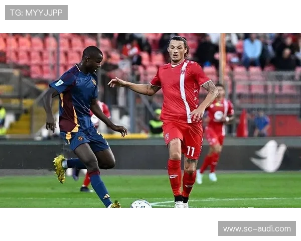 维罗纳青训实力持续提升，年轻球员表现稳健