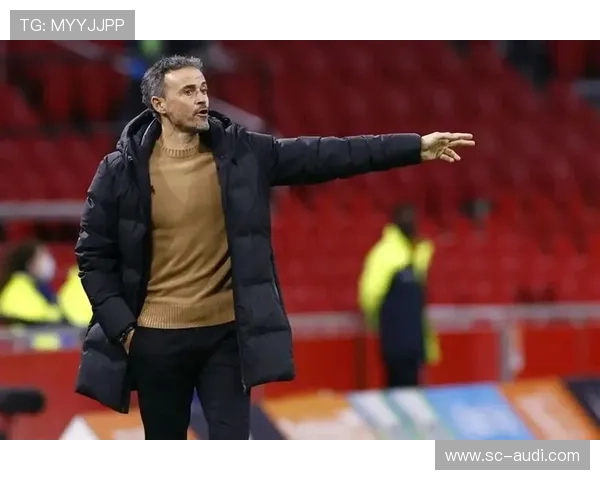 恩里克国家队经验