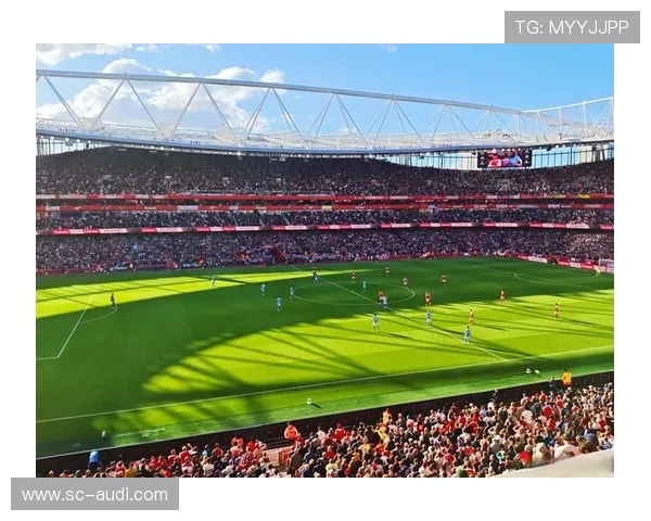 马丁内利处子赛季英超惊艳表现解析