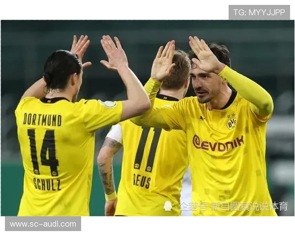 多特争冠稳定性不足问题显现,对赛季走势造成影响 多特争冠稳定性不足问题显现,对赛季走势造成影响